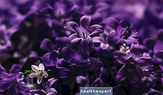 Violeta krāsa: simbolisms, nozīme un ietekme uz prātu