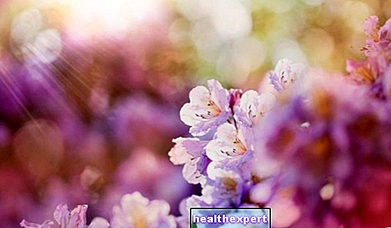Fraser om våren: de vakreste setningene dedikert til kjærlighetens sesong!