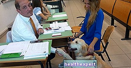 العلاج بالحيوانات الأليفة: الحل لمواجهة قلق الامتحان - واقع