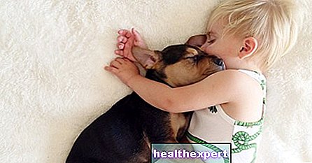 اوجد الفروق بين الجراء: الطفل والكلب الصغير الذي ينام دائما يحتضنه