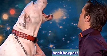 Video / Adevărat talent de cântat canin: Acest câine cântă ca Whitney Houston (mai mult sau mai puțin!)