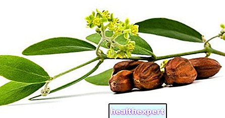 Ochranné, zvlhčujúce a proti starnutiu: objavte mimoriadne vlastnosti jojobového oleja - Krása