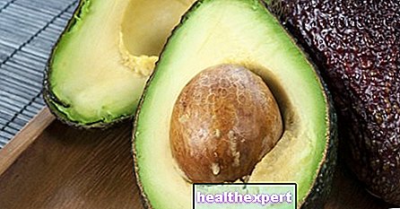 Avocado: simple and original recipes. Amaze at the table with 8 ideas - Kitchen