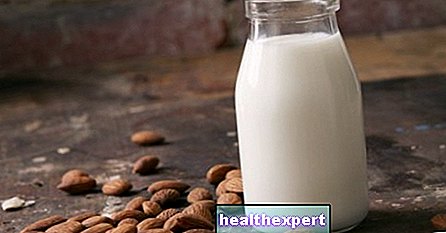 Mleko roślinne: sekret sukcesu w 7 punktach - Kuchnia