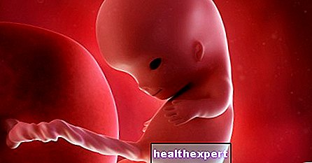 10. raskausviikko äidille ja vauvalle - 3. raskauskuukausi