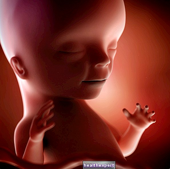 14. týden těhotenství pro matku a dítě - 4. měsíc těhotenství - Rodičovství