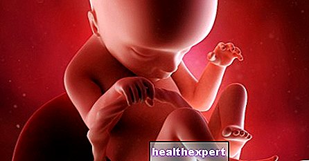 18. Schwangerschaftswoche für Mama und Baby - 5. Schwangerschaftsmonat