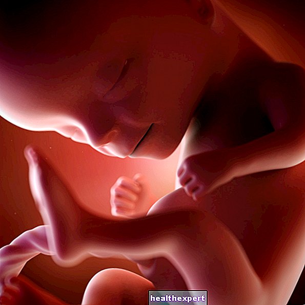23: e graviditetsveckan för mor och barn - 6: e graviditetsmånaden