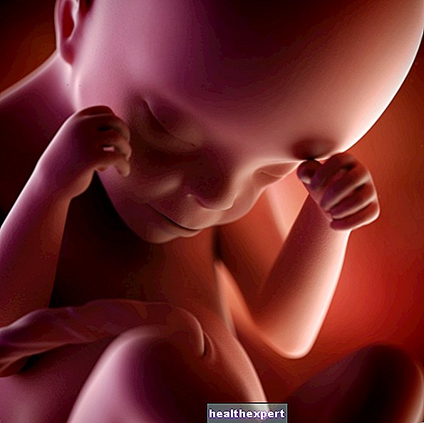 24. rasedusnädal emale ja beebile - 6. raseduskuu
