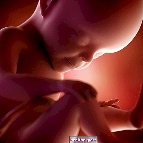 母親と赤ちゃんの妊娠27週目-妊娠7ヶ月目