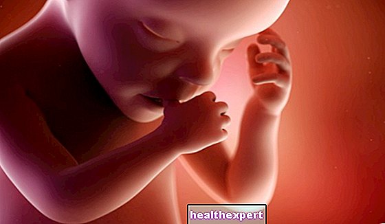 30. graviditetsuge for mor og baby - 7. måned af graviditeten - Forældremyndighed