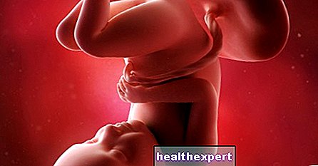 母親と赤ちゃんの妊娠32週目-妊娠8か月目