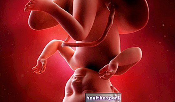 34 -й тиждень вагітності для матері та дитини - 8 -й місяць вагітності - Батьківство
