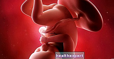 36. graviditetsuge for mor og baby - 9. måned af graviditeten - Forældremyndighed