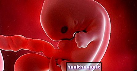 7. Schwangerschaftswoche für Mama und Baby - 2. Schwangerschaftsmonat