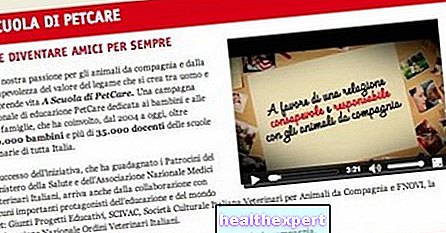 "A Scuola di Petcare®": från skolbänkar till hemdatorer - Föräldraskap