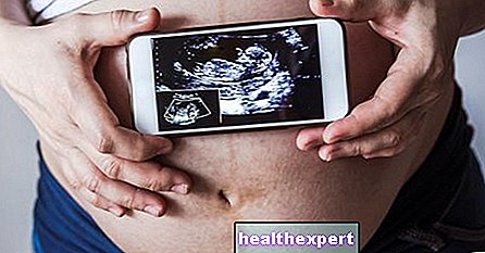 Ruang kehamilan: tempat perkembangan embrio terjadi selama kehamilan - Ptb.