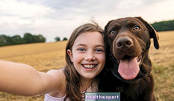 子供のための犬：ここに家族に最も適した品種があります
