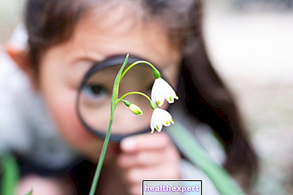Bông hoa và các bộ phận của nó: những hình ảnh và khái niệm đơn giản cho trẻ em tiểu học