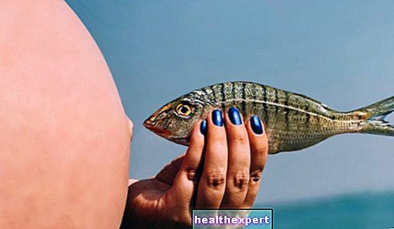 الأسماك أثناء الحمل: ما هي فوائدها وموانع استعمالها؟