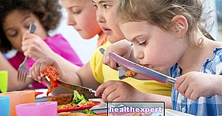 Back to school and school canteens: how is the nutrition of our children at school?