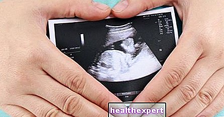 Keltuainen: mikä se on ja millä raskausviikolla se on mahdollista nähdä ultraäänellä
