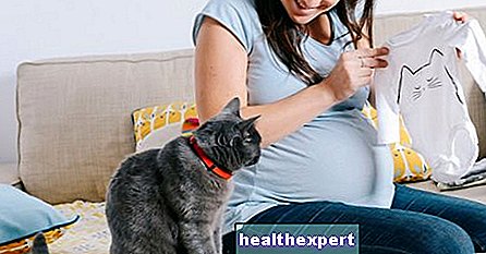 Токсоплазмоз під час вагітності: симптоми та причини інфекції та як запобігти ризику для плода