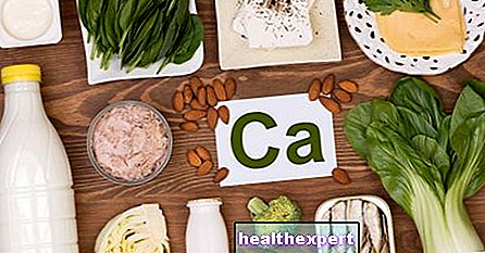 Foods rich in calcium: the complete guide