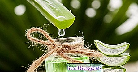 Aloe vera: parantavan kasvin ominaisuudet, edut ja vasta -aiheet