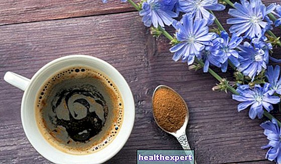 Hindiba kahvesi: Kavrulmuş hindiba kökü tozunun sıcak infüzyonundan elde edilen organik içecek