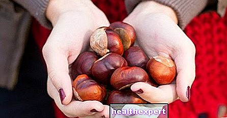 Castanhas: propriedades, benefícios para a saúde e valores nutricionais de frutas e farinha - Em Forma