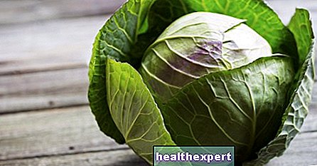 Cabbage: properties and benefits of the most nutritious and healthy vegetable - In Shape