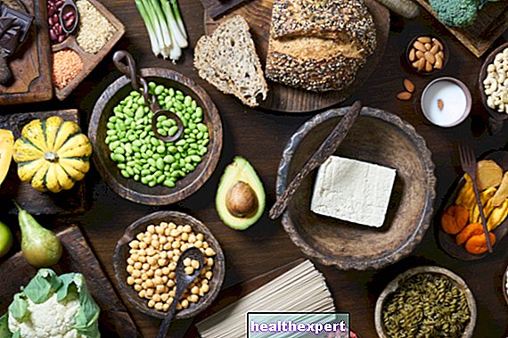 Eiwitvoedsel: de 15 voedingsmiddelen die het rijkst zijn aan eiwitten