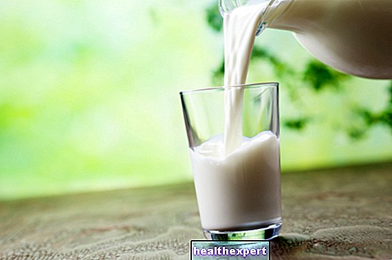 Gör dig mjölk fet? Här är försiktighetsåtgärderna när vi dricker det - I Form