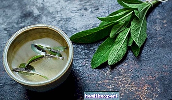 Infusion of sage: properties and benefits of the plant that is good for the stomach