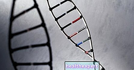 A genetikai étrend: a DNS -be van írva