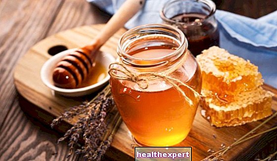 Honey: properties and benefits of the "food of the gods"