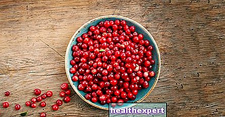 Tranebær: egenskaper og fordeler med de mest dydige av røde frukter!