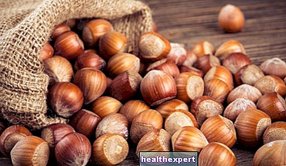 Hasselpähkinät: kuivattujen hedelmien ominaisuudet ja hyödyt kolesterolia vastaan - Kunnossa