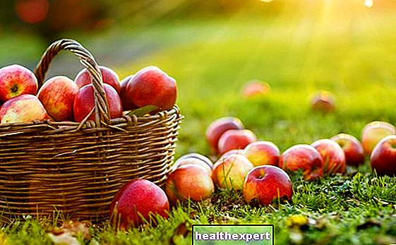 Thuộc tính của táo: lợi ích của trái cây đối với sức khỏe tuyệt vời - Trong Hình DạNg.