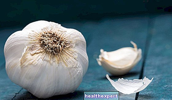 Properties of garlic: all the beneficial properties