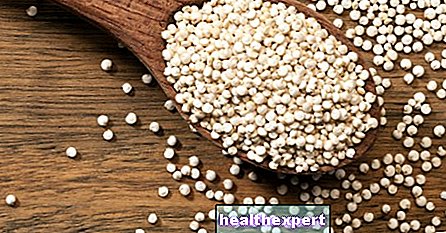 Quinoa: egenskaper og fordeler ved en fenomenal plante - I Form