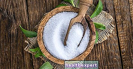 Stevia: properties and contraindications of the zero calorie sweetener