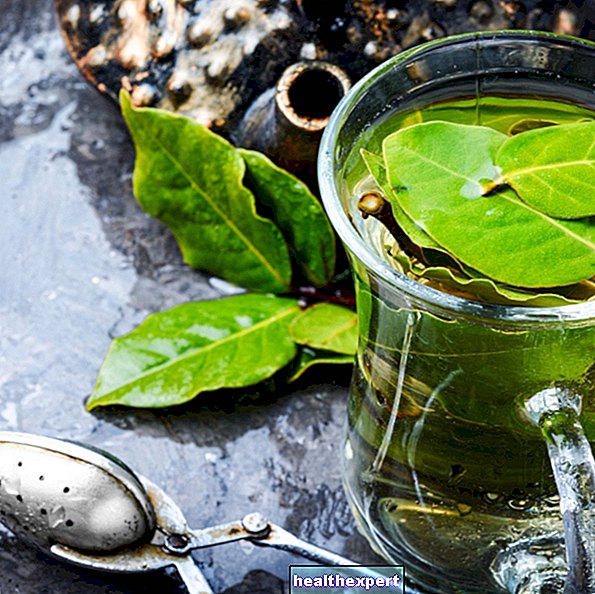 Babérlevél tea a fogyáshoz: tulajdonságai és elkészítési módja - Formában