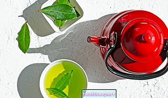 Chá de folha de louro: quais são seus benefícios e como prepará-lo
