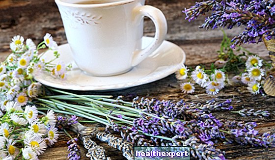 Антицеллюлитные травяные чаи: самые эффективные для мгновенного дренирующего эффекта!