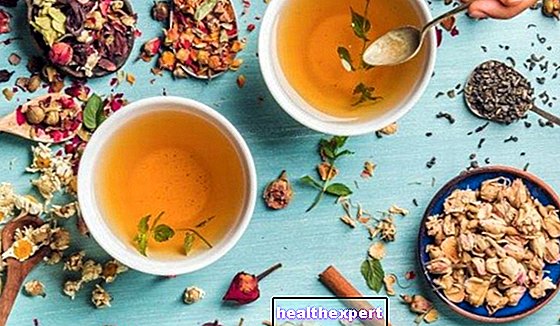Herbal teas to speed up the metabolism: the 5 most effective! - In Shape