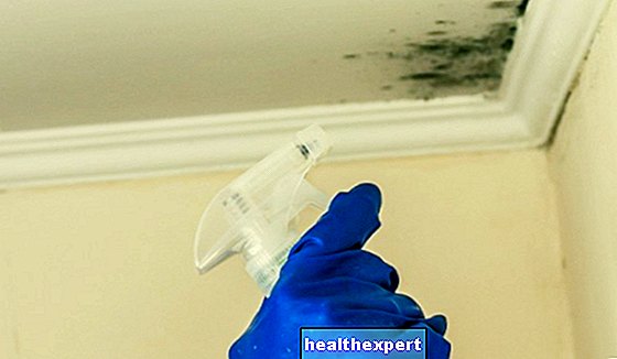 5 do-it-yourself tricks to get rid of mold from walls