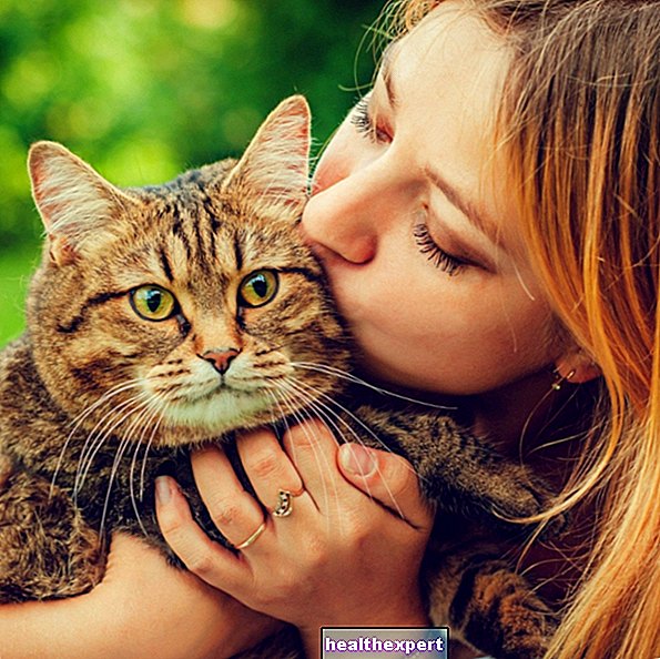 5 triků, jak vás kočka miluje