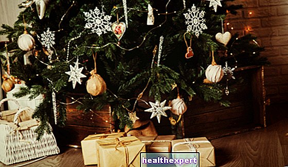 Vianočné dekorácie: najoriginálnejšie domáce dekorácie na Vianoce plné mágie!